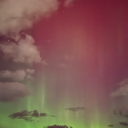 stealthy-chameleon avatar