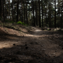 stealthyeti-blog avatar