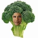 steamedbarackoli avatar