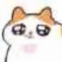 steamedrolls01 avatar