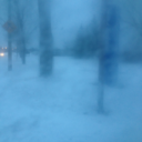 steampunkcanadian avatar