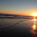 steamybitches avatar