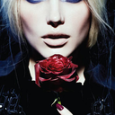 steel-toe-roses avatar