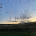 steelcladbutterfly avatar