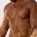 steelnosepolecat-blog avatar