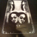 steely-dan-a-day avatar