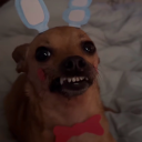 stefy-uzumaki avatar