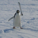 stegogosaurus avatar