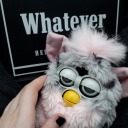 steinsiandoll avatar