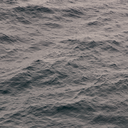 steinwaldwolf avatar