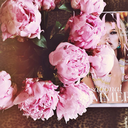 stella-and-coco avatar