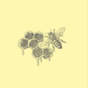 stellaacadente avatar