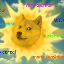 stellaamulder avatar