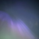 stellaforastar avatar