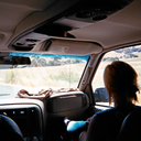 stellaliveson avatar