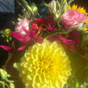 stellarcandles avatar