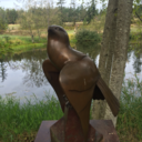 stellarjay1313 avatar