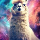 stellarllama avatar