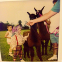 stellarlore-blog-blog avatar