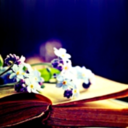 stellarstardust avatar