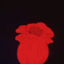 stellarstellarstellar avatar