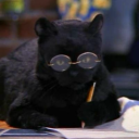 stellartulip00 avatar