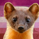 stellarvulplne avatar