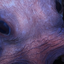 stellasplendens avatar