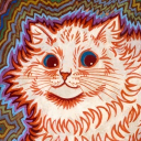 stellatedkittyhedron avatar