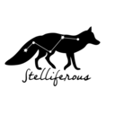 stelliferoustudio avatar