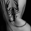 stellina-arya avatar