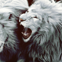 stemulate-blog avatar