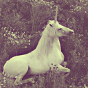 stepbysteptutorials avatar