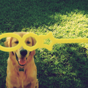 stephaiko-blog avatar