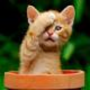 stephanie-weippert avatar