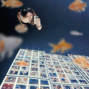 stephanieeeyang avatar