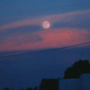 stephanieinfinite avatar