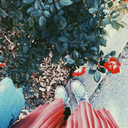 stephanieperonet avatar