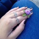 stephanus-rattus avatar