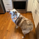 stephberg2133 avatar