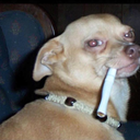 stephenhawkin avatar