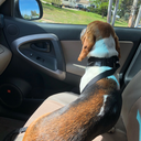 stephenthemainho avatar