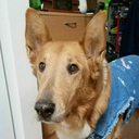 stephreadssometimes avatar