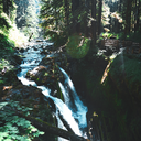 stepontotheplanet avatar