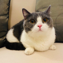 steppingonyourshadow avatar