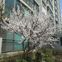 steppingstonespoetry avatar