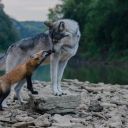 sterek-ao3feed avatar