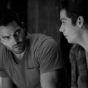 sterekloverforever avatar