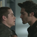 sterekshaven avatar