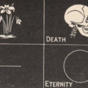 stereopathology-blog avatar